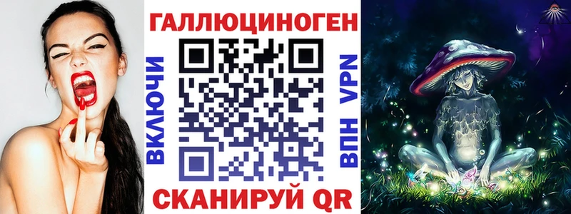 Галлюциногенные грибы Psilocybine cubensis  Дербент 